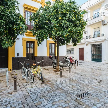 Homestay Bright Bunk Bed In Historic Center Seville